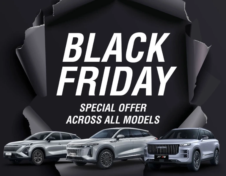 Black Friday Sale